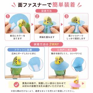 鳥用 エリザベスカラー ソフト 小鳥 インコ ...の詳細画像4