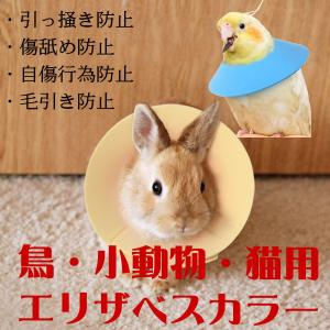 新商品 エリザベスカラー 小動物 鳥 オウム ...の詳細画像1
