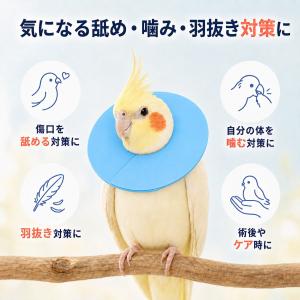 鳥 小動物 エリザベスカラー ソフト 軽量 E...の詳細画像1