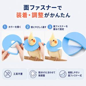 鳥 小動物 エリザベスカラー ソフト 軽量 E...の詳細画像4