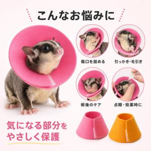 小動物用 エリザベスカラー ソフト ハムスター...の詳細画像1