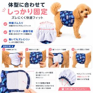 新商品 マナーベルト 犬 オス用 吸水パッド付...の詳細画像5