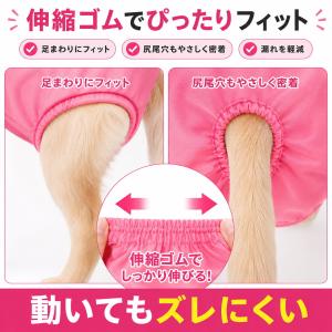 マナーパンツ 犬 メス おむつカバー 女の子 ...の詳細画像5