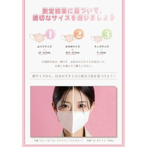 日本製マスク 3Dマスク 不織布 20枚 立体...の詳細画像5