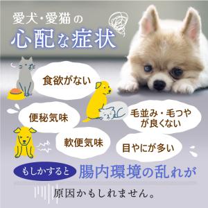 犬 猫 サプリ 水溶性食物繊維 オリゴ糖 オリ...の詳細画像2