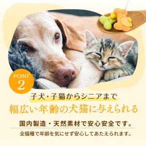 犬 猫 サプリ 水溶性食物繊維 オリゴ糖 オリ...の詳細画像5