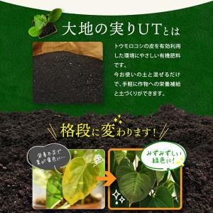 肥料 有機肥料 消石灰入り 20kg 大地の実...の詳細画像3