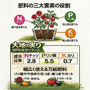 肥料 有機肥料 消石灰入り 20kg 大地の実...の詳細画像5