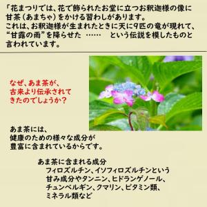 お茶 あま茶 国産 茶葉(新鮮真空パック25g...の詳細画像4