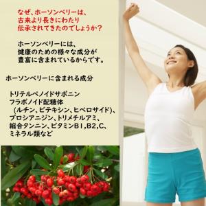 ハーブティー「ホーソンベリー」(山査子、サンザ...の詳細画像4