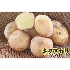 北海道産 種じゃがいも キタアカリ 10kg 種芋 種馬鈴薯検査合格品
