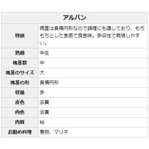 【種ジャガイモ・種いも】フレンチポテト「アルバ...の詳細画像1