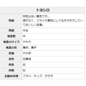 【種ジャガイモ・種いも】「トヨシロ」の種じゃが...の詳細画像1