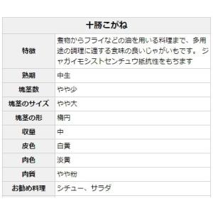 【種ジャガイモ・種いも】「十勝こがね(とかちこ...の詳細画像1