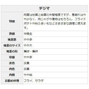 【種ジャガイモ・種いも】「デジマ」の種じゃがい...の詳細画像1