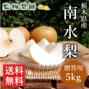 栃木県産「梨 南水 5kg（12〜16玉）」（2023年 9月11日〜22日頃出荷分）【贈答用 産地直送 送料無料】｜nikkoseed2012