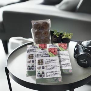 土にかえる 天然素材ポット ジフィーポット 丸型 5.5cm 40入り【サカタ