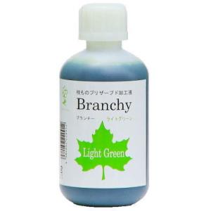 プリザーブド加工液　ブランチー　Branchy  500ml　（全6色　お好きな色をお選びください）