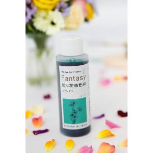 切花用着色剤 Fantasy「ファンタジー ミント 100ml」【沖縄・離島、航空便不可商品】