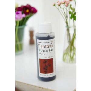 切花用着色剤 Fantasy「ファンタジー チョコレート 100ml」【沖縄・離島、航空便不可商品】