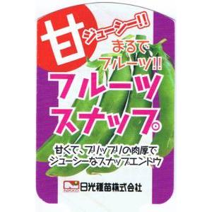 「フルーツスナップ」 エンドウ　９ｃｍポット苗 ２本セット　【白花・つるあり】　【販売期間：秋期10月中旬〜11月中旬／春期3月上旬〜3月下旬】｜nikkoseed2012