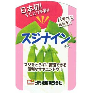 「スジナイン エンドウ」　９ｃｍポット苗 ２本セット　【赤花・つるあり】　【販売期間：秋期10月中旬〜11月中旬／春期3月上旬〜3月下旬】｜nikkoseed2012