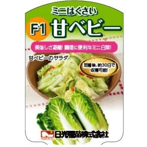 ミニ白菜の苗「甘ベビー」9cmポット【販売期間:...の商品画像