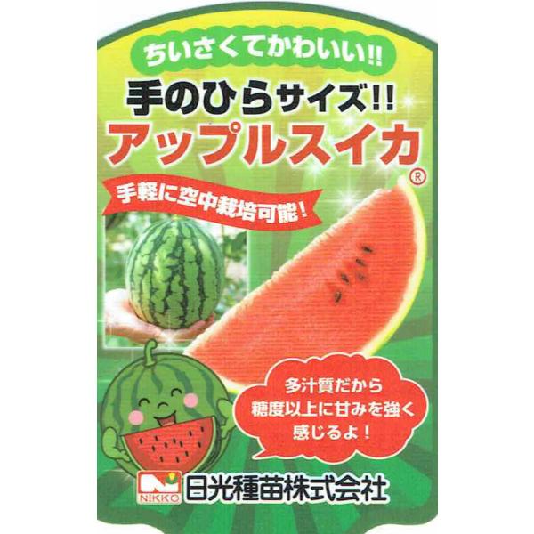 松永種苗「アップルスイカ」9cmポット苗【5月上旬〜5月下旬発送分予約】