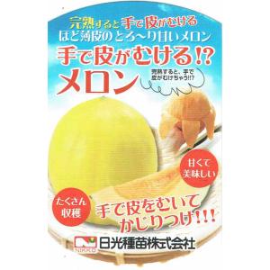 予約商品】玉ねぎ苗 晩生 もみじ3号 100本【タキイ交配】【玉ねぎ苗