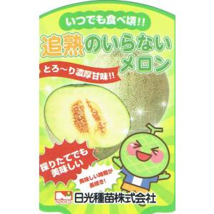 日光種苗「追熟のいらないメロン」9cmポット苗【5月上旬〜5月下旬発送分予約】｜nikkoseed2012