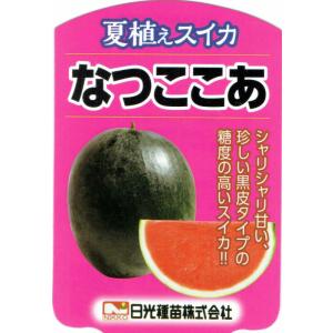 「夏植えスイカの苗 なつここあ」9cmポット【7月上旬より発送分予約】｜nikkoseed2012