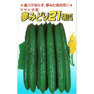 西洋野菜種子】 サカタ交配 アスパラガス 「ウェルカム」 10ml（約