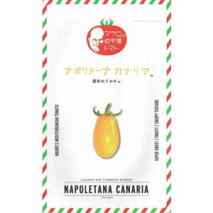 SK9-099 ブロッコリー種子 ペレット5000粒 【野菜種子】【サカタのタネ