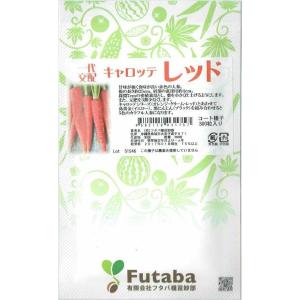 恋うさぎ 人参種子 コート250粒 【ナント交配】 : 吉谷農芸Yahoo!店