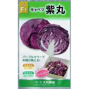 大和農園　紫キャベツ　紫丸　1ml