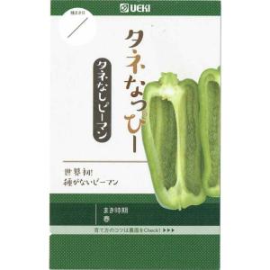 トウモロコシ種子】ダイヤ交配（トキタ種苗）ミルキーシュガー85（みる