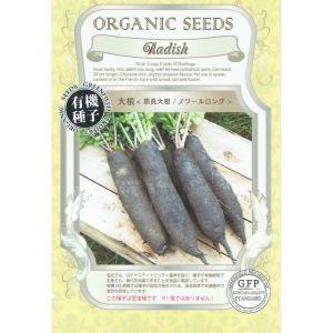カルデラ農園ページ‼️玉ねぎ苗‼️ソニック500本➕もみじ500本 予約商品】玉ねぎ苗 500本束 ソニック 早生【タキイ交配】【玉ねぎ苗