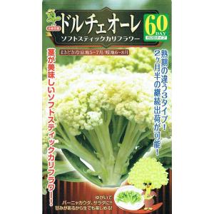 小林種苗　ソフトスティックカリフラワー　ドルチェオーレ６０のタネ[内容量：0.5ml]