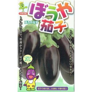 小林種苗　ナス　「ぼうや茄子」のタネ　[内容量：約8粒]