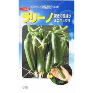 神田育種農場　キュウリ　ラリーノ　[内容量：約10粒]