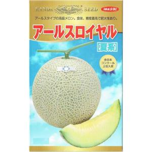 神田育種農場　メロン　アールスロイヤル[夏系]　[内容量：約7粒]