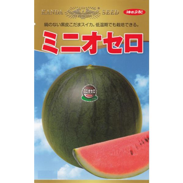 神田育種農場「スイカ ミニオセロ」のタネ　[内容量：約11粒]