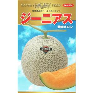 神田育種 メロン オルフェ 小袋 : 種苗・園芸ショップ 種もり - 通販