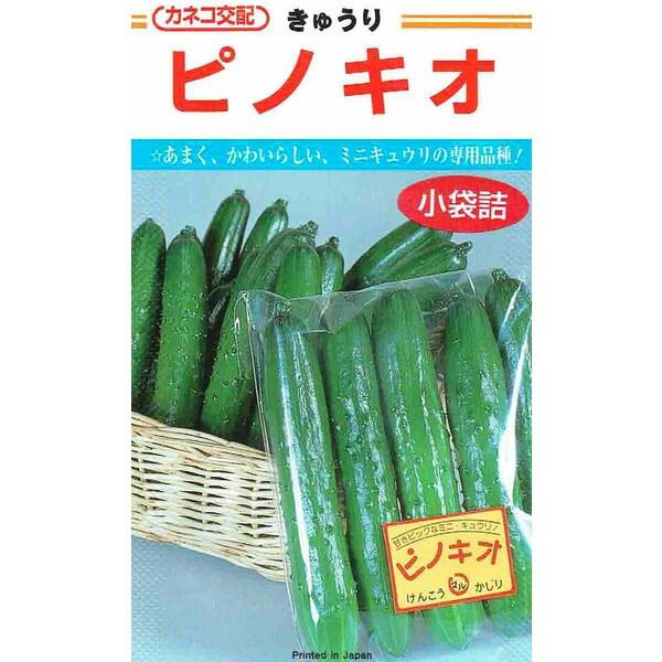 カネコ種苗　キュウリ　ピノキオ　[内容量：20粒]
