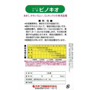 カネコ種苗 キュウリ ピノキオ [内容量:20粒]の詳細画像1