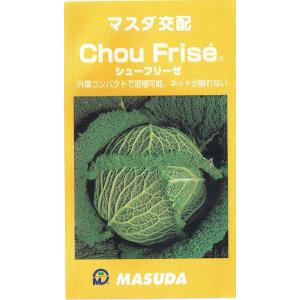 増田採種場　マスダ交配　サボイキャベツ　シューフリーゼ ［内容量:約60粒］