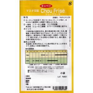 増田採種場 マスダ交配 サボイキャベツ シュー...の詳細画像1