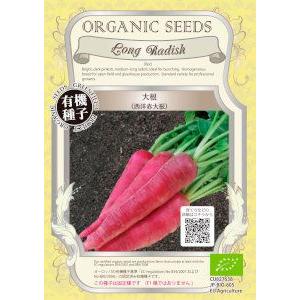 【有機種子】 「西洋赤大根」のタネ　約80粒
