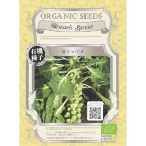 SK9-099 ブロッコリー種子 ペレット5000粒 【野菜種子】【サカタのタネ