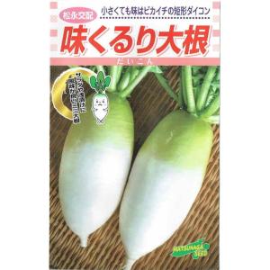 松永種苗 短形ダイコン「味くるり大根」のタネ 3mlの商品画像